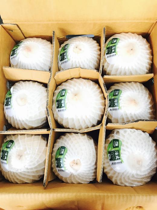 【新货开柜】海风椰青,泰国原产进口,个大汁多,清香浓郁