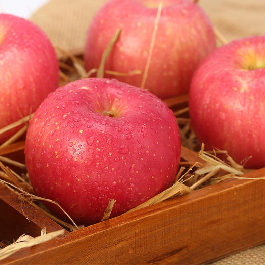 美域高24枚装85苹果净重约124斤个大香甜送礼优选