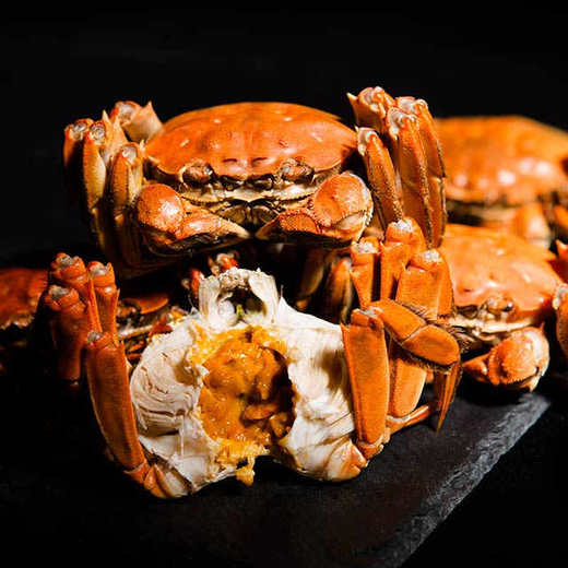 优选中秋尛鲜生汈汊湖大闸蟹顺丰包邮10只