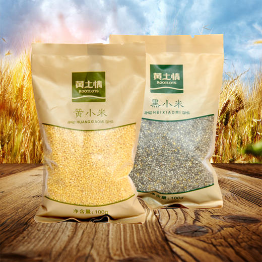 黄土情 小米100g 商品图0