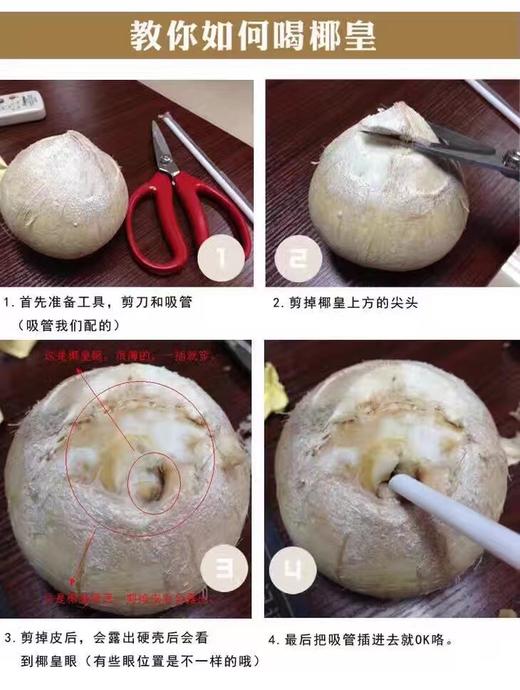 【泰国椰皇】又名奶椰，醇香奶味，100％纯天然，低糖低卡路里，清润补水，富含维生素矿物质，味道超赞,送吸管 商品图4