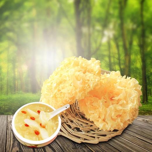【古田鲜/湿银耳】史上超值特惠!"平民燕窝"健康美味,畅享优质生活