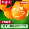 【农夫山泉17.5°橙】精美包装，黄金糖酸比，自然成熟，甘爽多汁，营养美味 商品缩略图3