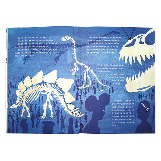 《王国》三部曲（全三册）一个孤独男孩的历险记和成长史 精装 读小库华美绘本 7-9岁 商品图4