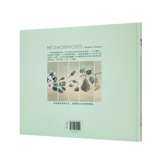 《蜕变》美妙、惊艳的成长，大自然的变形记 读小库 7-9岁 诗意纪录三部曲之一 商品图2