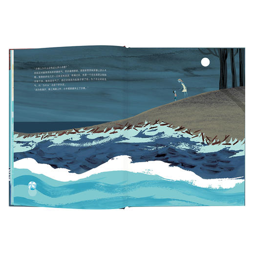 《追逐潮汐的孩子》从海边小木棍求索到万有引力 科学探索 满足好奇心 精装 读小库儿童书科普绘本 7-9岁 商品图4