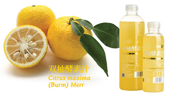 柚香谷双柚酵素汁常山胡柚日本香柚原汁原酿饮料