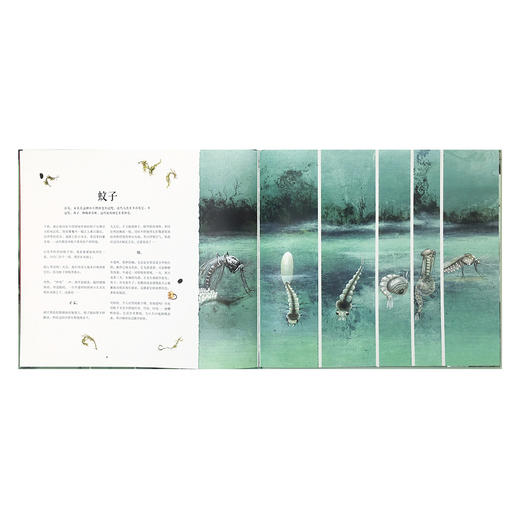 《蜕变》美妙、惊艳的成长，大自然的变形记 读小库 7-9岁 诗意纪录三部曲之一 商品图4