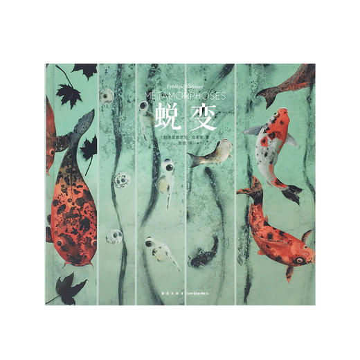 《蜕变》美妙、惊艳的成长，大自然的变形记 读小库 7-9岁 诗意纪录三部曲之一 商品图1