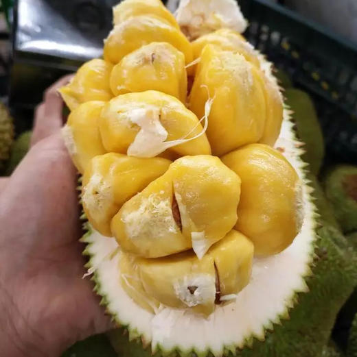 榴莲蜜绵软甜蜜