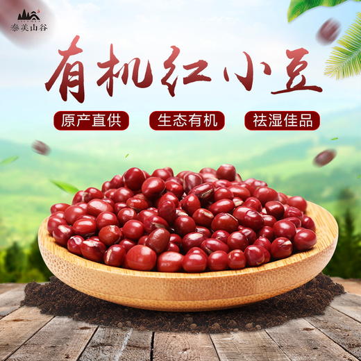 【有机红小豆】800g 东北五谷杂粮红豆粥 商品图5