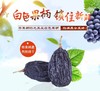 黑加仑葡萄干250g/袋   带果柄的新疆味 自然挂干  甜蜜香郁 商品缩略图1