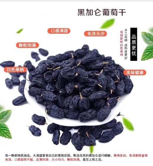 黑加仑葡萄干250g/袋   带果柄的新疆味 自然挂干  甜蜜香郁 商品图3