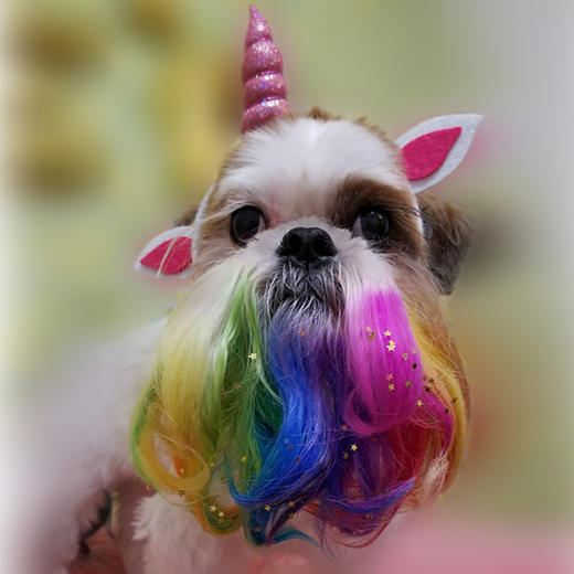 宠物星星闪光粉-金色 OPAWZ小爪印 商品图2