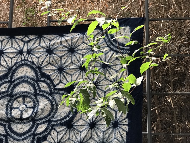 花开富贵o白子家染坊·李志兴