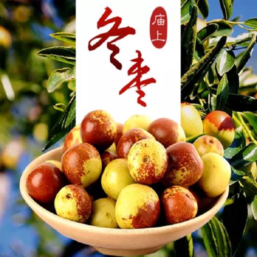 【益点田优选】高原农场山西庙上冬枣3斤装