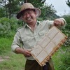 那时花开蜂巢蜜500g 云雾山野淬巢蜜 蜂蜜礼盒装 天然土蜂蜜 酿一座山的味道 给重要的人 商品缩略图4