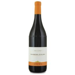 科诺阿尔巴巴贝拉红葡萄酒 ELVIO COGNO BARBERA ALBA