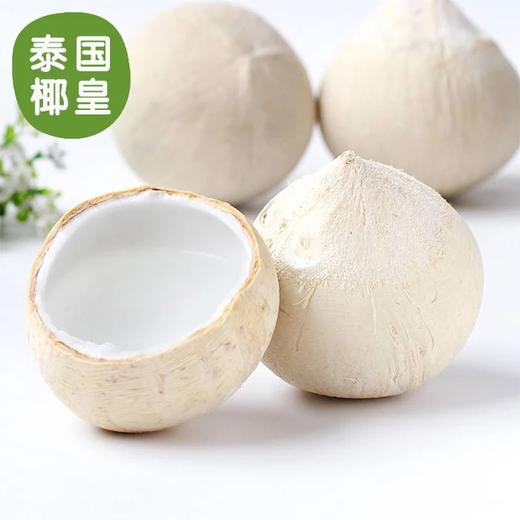 【泰国椰皇】又名奶椰，醇香奶味，100％纯天然，低糖低卡路里，清润补水，富含维生素矿物质，味道超赞,送吸管 商品图1