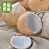 【泰国椰皇】又名奶椰，醇香奶味，100％纯天然，低糖低卡路里，清润补水，富含维生素矿物质，味道超赞,送吸管 商品缩略图3