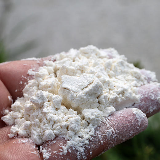 【送蒸笼布】传统石磨小麦面粉  低筋面粉  无添加不增白 2.5kg 商品图2