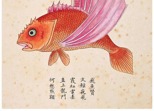 故宫经典系列清宫海错图