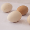 草鸡蛋（10个装）【预售】 商品缩略图1