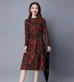 CQ XLSZ8858  新款森女长袖印花中长款连衣裙