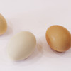 草鸡蛋（10个装）【预售】 商品缩略图4