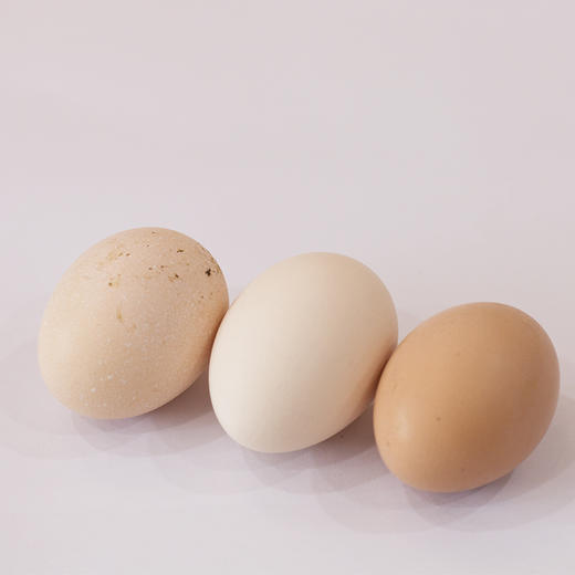 草鸡蛋（10个装）【预售】 商品图2