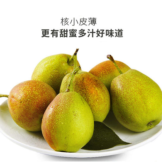 库尔勒香梨8斤/件特级 /一级多规格 单果重120克起步新疆香梨果蔬 商品图1