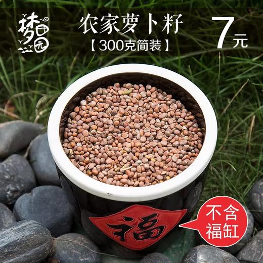 农家自种 种子 非转基因 可发芽苗菜（本店有售豆芽罐） 商品图7