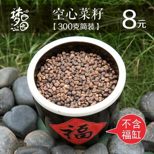 农家自种 种子 非转基因 可发芽苗菜（本店有售豆芽罐） 商品图5