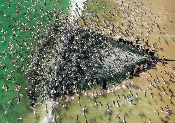 《中国国家地理》 201709 航拍阿里 吉汝村 沙丁鱼大迁徙