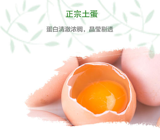 【推荐】九华山竹林跑鸡蛋50枚 商品图1