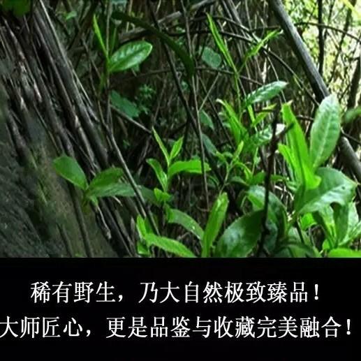 安化黑茶 白沙溪手筑原叶金花茯茶 限量丝路印象野生茯砖茶2斤装 商品图6