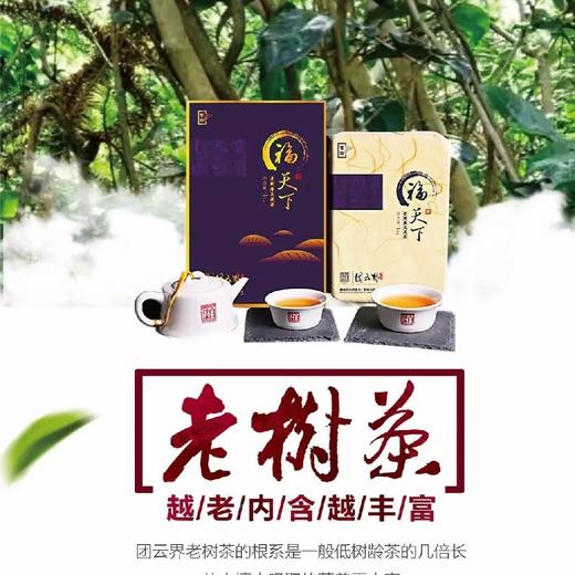 安化黑茶白沙溪高山原叶金花茯砖 紫印团云界高山老树春尖茯茶限量礼盒（1㎏） 商品图10