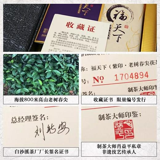 安化黑茶白沙溪高山原叶金花茯砖 紫印团云界高山老树春尖茯茶限量礼盒（1㎏） 商品图2