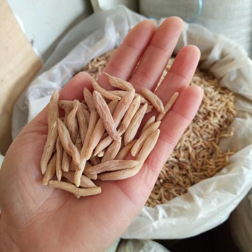 麦冬150克 商品图2