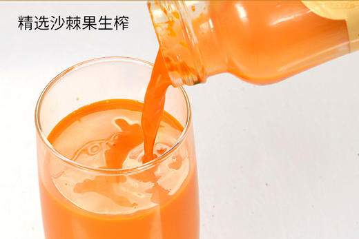 新疆沙棘100%原浆  238ml*6瓶 商品图2