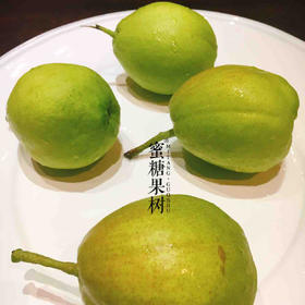 【2025新二批】西域贡果【库尔勒香梨】个头更大，汁水更多，果皮更薄，肉更细嫩，吃到嘴里的新鲜 用时间缩短我们与自然的距离。
