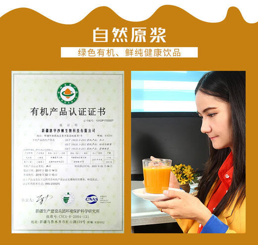 新疆沙棘100%原浆  238ml*6瓶 商品图3