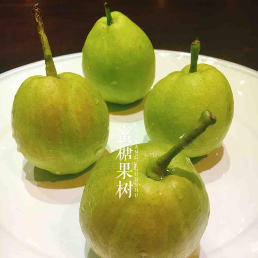 【2025新二批】西域贡果【库尔勒香梨】个头更大，汁水更多，果皮更薄，肉更细嫩，吃到嘴里的新鲜 用时间缩短我们与自然的距离。 商品图1