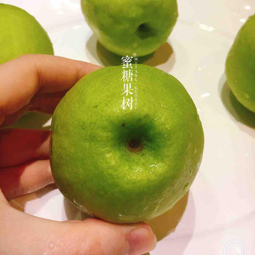 【2025新二批】西域贡果【库尔勒香梨】个头更大，汁水更多，果皮更薄，肉更细嫩，吃到嘴里的新鲜 用时间缩短我们与自然的距离。 商品图3