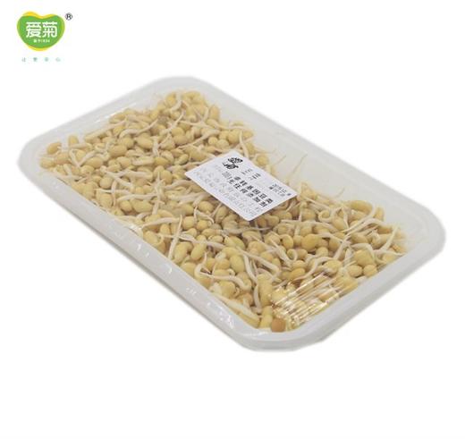 小金芽300g 商品图0