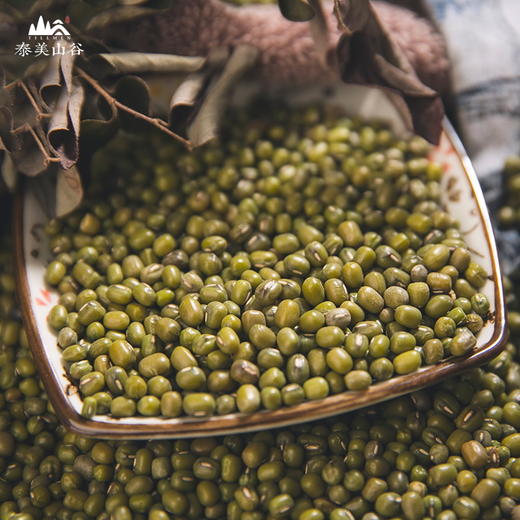 【有机绿豆】800g 东北农家五谷杂粮绿豆粥 商品图4