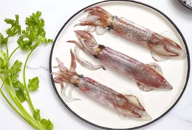 野生灯光诱捕东山小管鲜活小鱿鱼现捞现卖活冻寄顺丰最佳食用季四盒