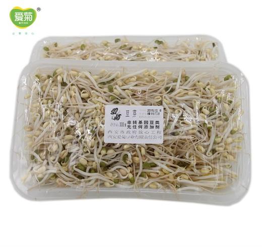 小银芽300g 商品图2