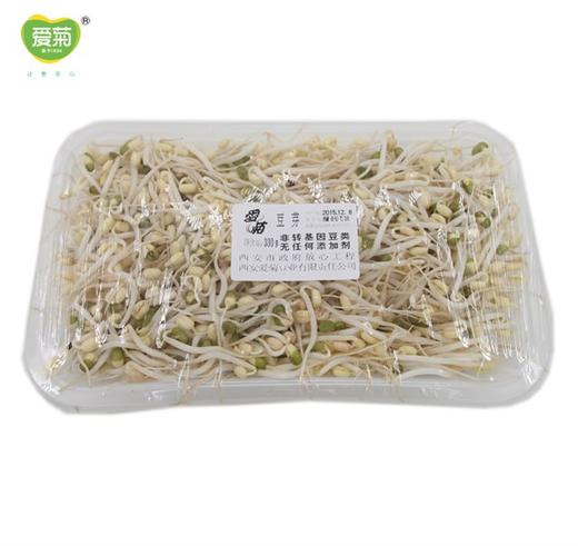小银芽300g 商品图0