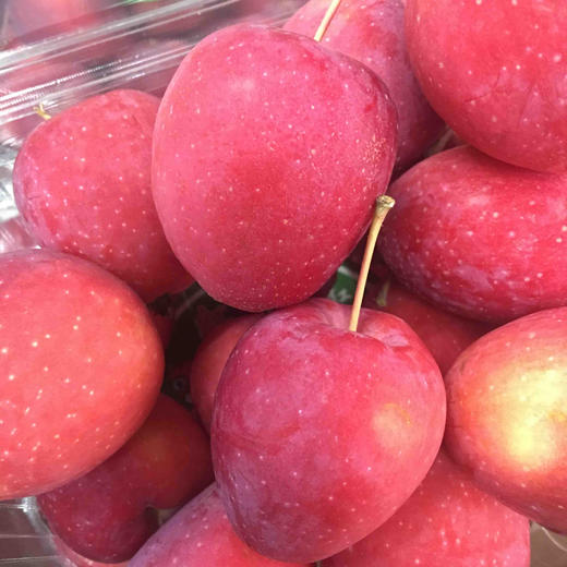 海棠鸡心红金果 红香脆甜 一盒约两斤多 20几个果子 强烈推荐